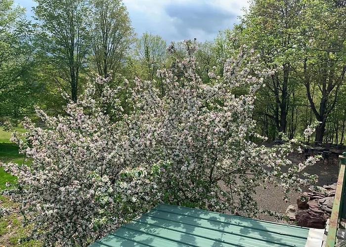 Georgian Garden