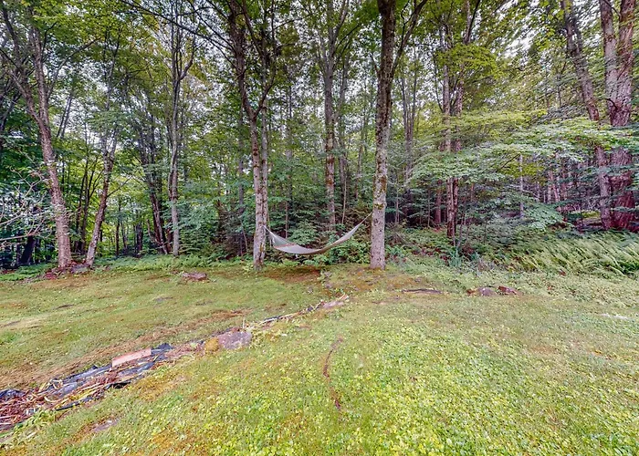 219 Old Ark Road