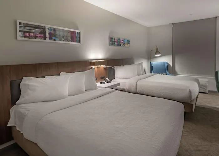 Hilton Garden Inn Dallas At Hurst Conference Center