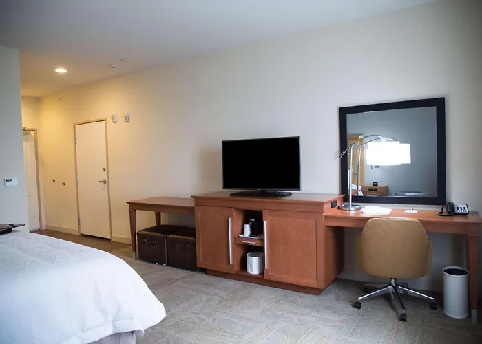 Hampton Inn And Suites By Hilton Mckinney