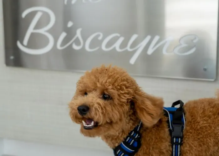 The Biscayne Hotel
