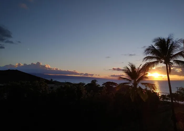 Hale Mai Hopohopo