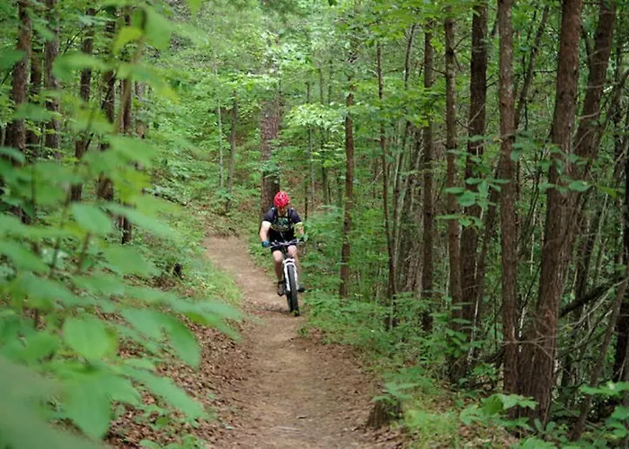 Art'S Bungalow-Wooded Seclusion 1 Mi To Deep Creek And Bryson City