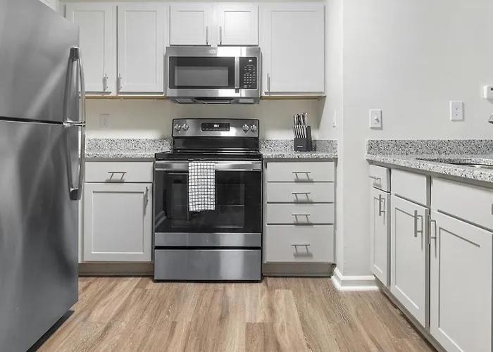 Landing Modern Apartment With Amazing Amenities