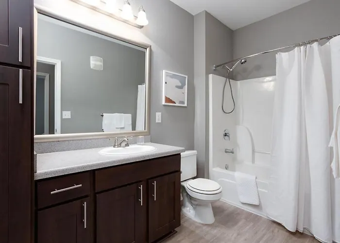 Landing Modern Apartment With Amazing Amenities