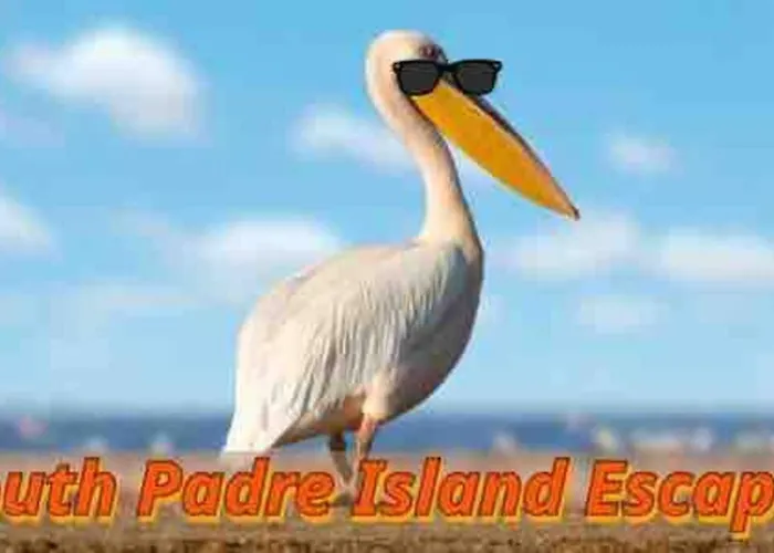 Coronado Get-Away At Fantasy Circle