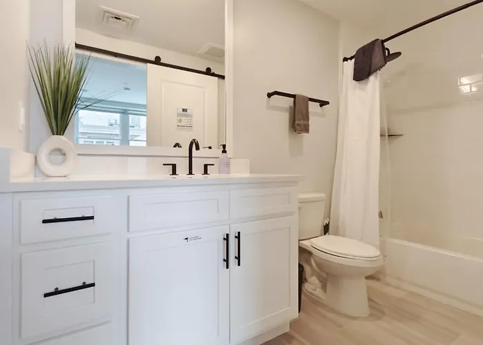 Fun Cozy Apts - 1 25 Mile Walk To Tiaa Bnk Fld