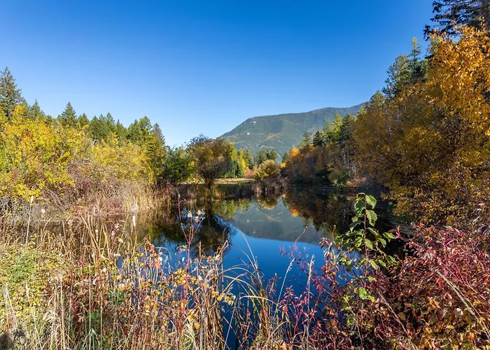 Glacier Retreat On 4 Acres With Sauna & Fire Pit