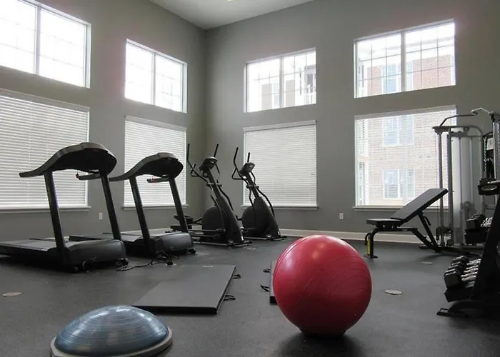 Luxury 1Br/1Ba W/ Top Amenities In Prime Location