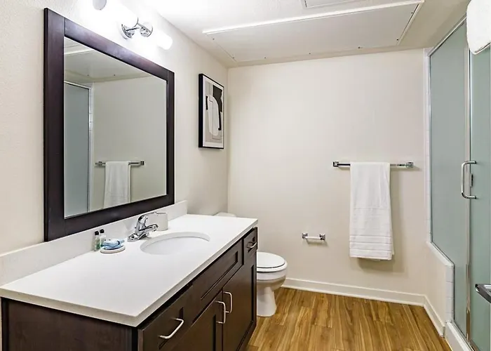 Landing Modern Apartment With Amazing Amenities