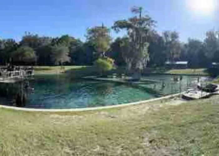 The Botanical Retreat, King Comfort & Poolside Peace