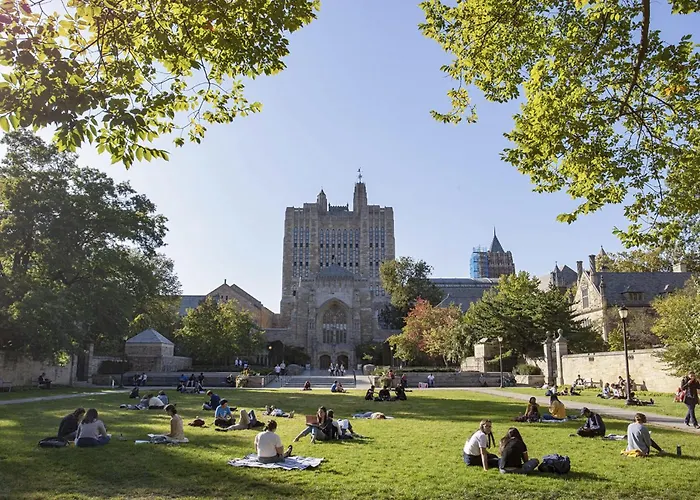 Downtown New Haven By Yale & Little Italy - Ao Destinations