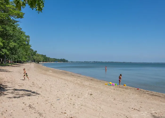 Lakeview & Wildlife