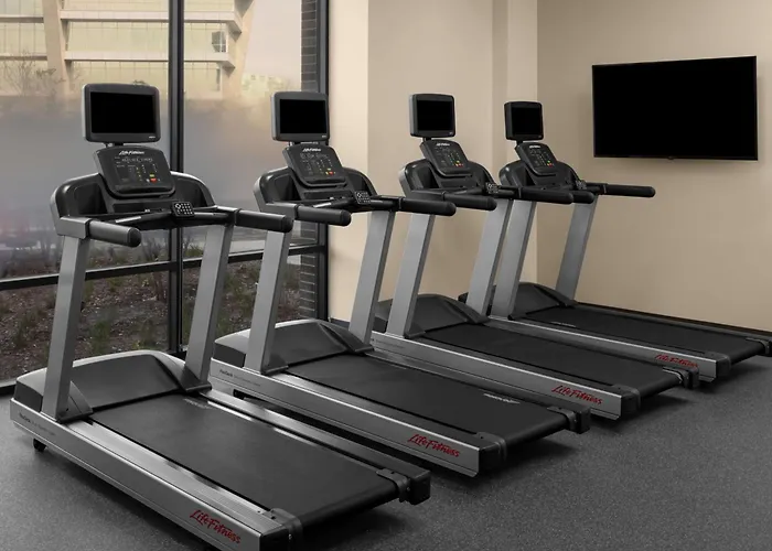 Hilton Garden Inn Grand Prairie At Epiccentral