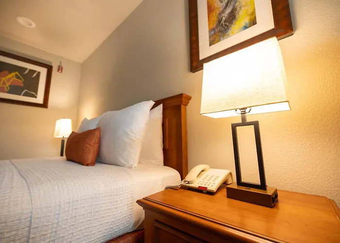 Alamo Inn And Suites - Convention Center