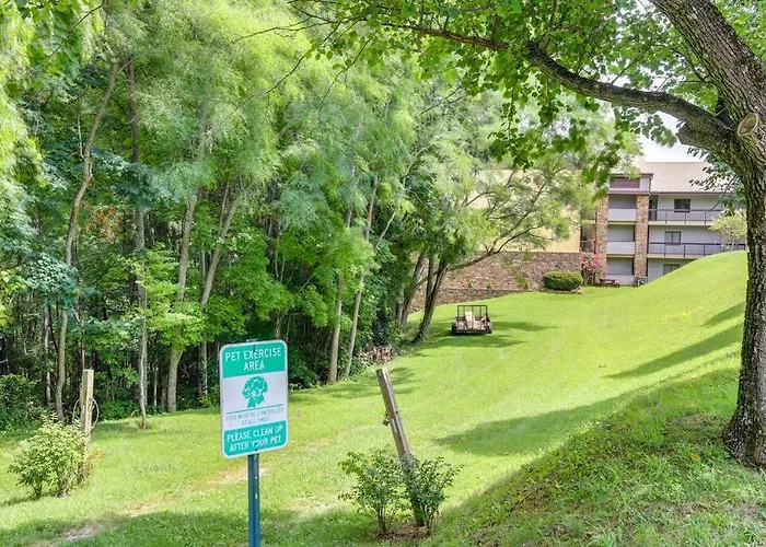 Lux Retro Getaway W/ Ober & Smoky Mtn Views!