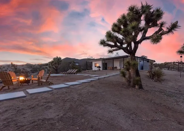 Kinetic House-Joshua Trees Sculptures Cowboy Pool