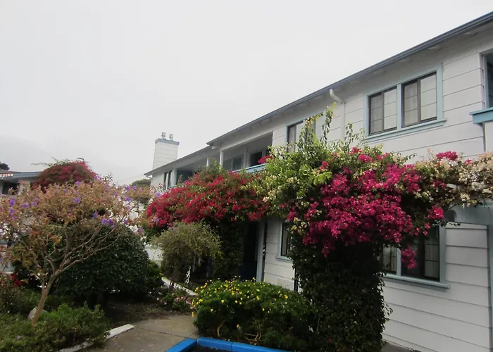 Arbor Inn Monterey