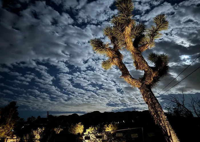 10 Minutes To Jtnp - Hot Tub, Sauna, Telescope, Saltwater Cold Plunge Pool