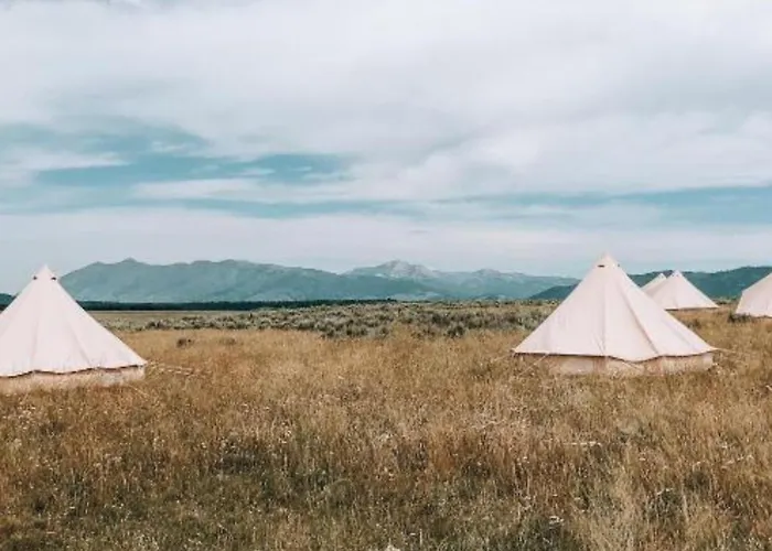 Yellowstone Glamping