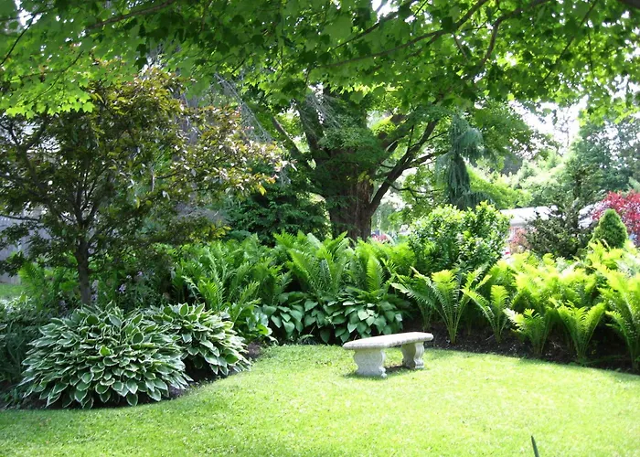 Maple Terrace