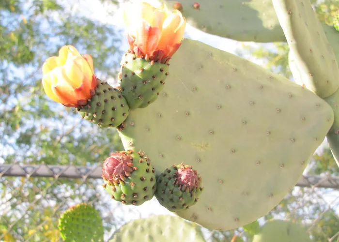Stagecoach Suites