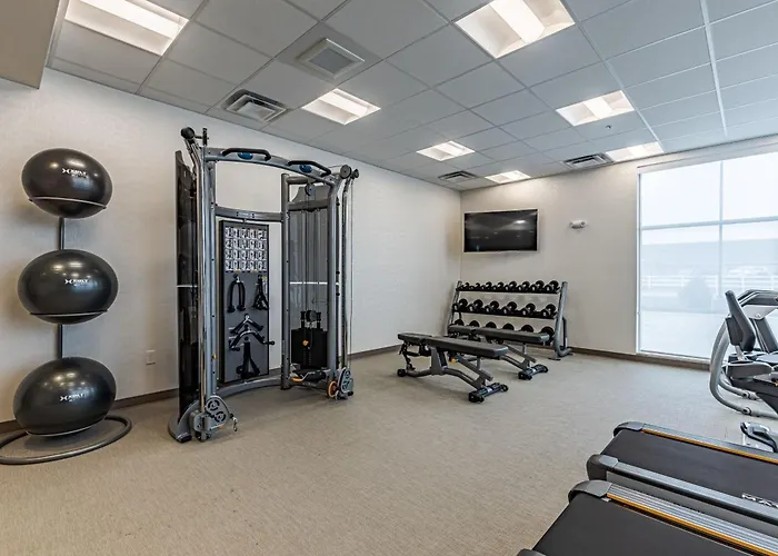 Springhill Suites By Marriott Detroit Sterling Heights
