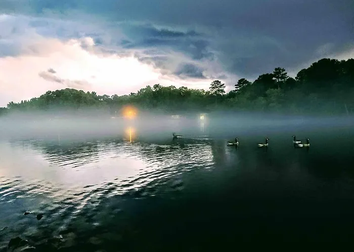 Lakefront Oasis