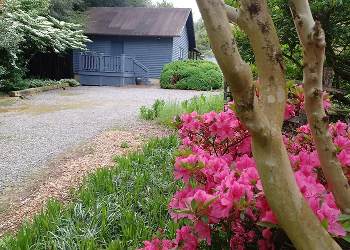 Restored1850S Log Cabin, With Gazebo And Gardens! 1 Mile To Downtown Weaverville