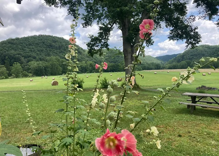 Gorgeous Cabin Stay Near I-77, Views, Antiques, Wi-Fi, Wonderful Experience For 2!