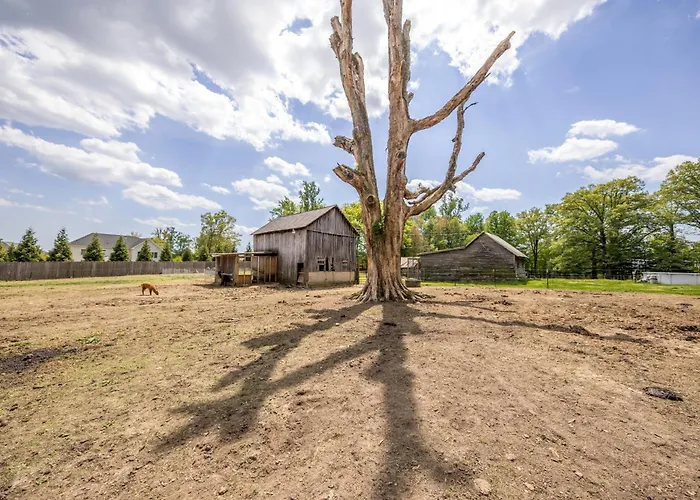 Watch Deer From A Farm Cottage
