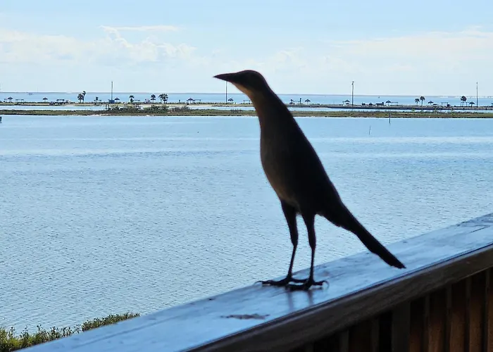 Summer'S Little Bay Getaway