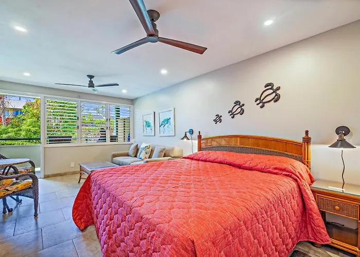 The Napili Bay 111 - Ocean View Studio - Steps From Napili Beach