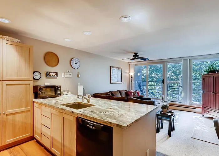Simba Run Vail Condominiums