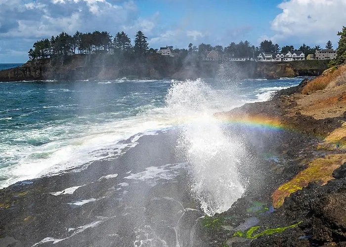 Spectacular Ocean Views! Watch Whale Migrations! Dog Friendly!