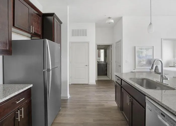Landing Modern Apartment With Amazing Amenities