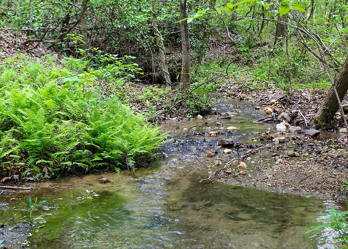 Sautee Nacoochee Mtn Paradise W/ Spacious Deck!