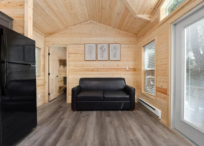 Brand New Cabins