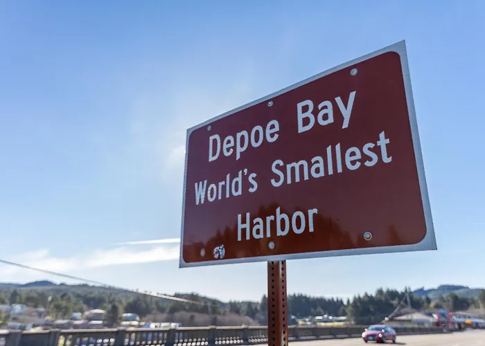 Whale Watching Has Never Been Easier At This Studio In Depoe Bay!