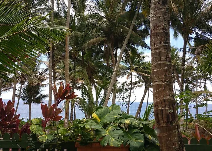 Nice Studio W/ Ac Near Kehena Beach And Lava Fields
