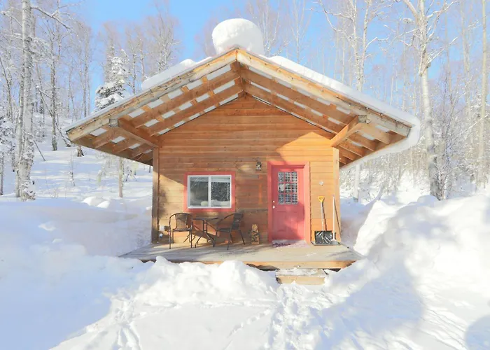 Birch Cabin