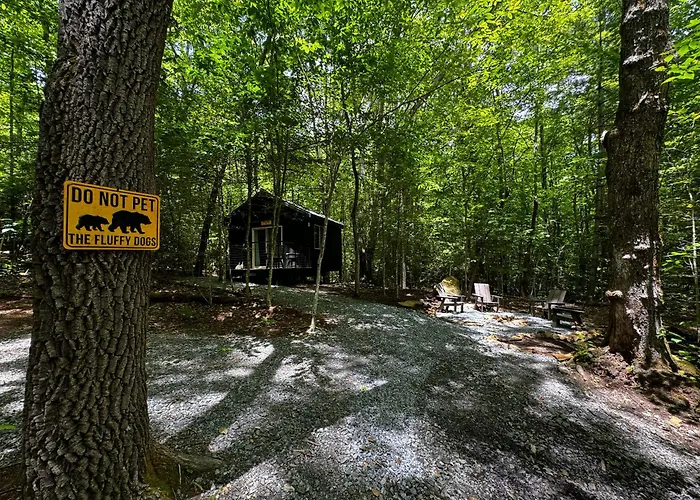Bed & Bear - Couples Glamping Cabin At Valley Bear Farms Resort