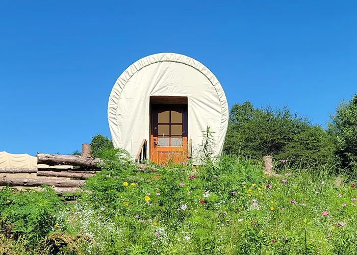 Covered Wagons Hill Camp - Wagon 3