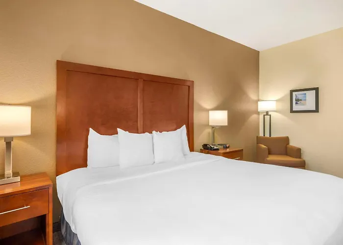 Comfort Inn & Suites Northeast - Gateway