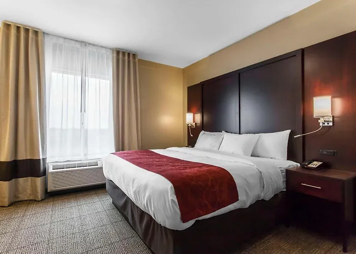 Comfort Suites-Youngstown North