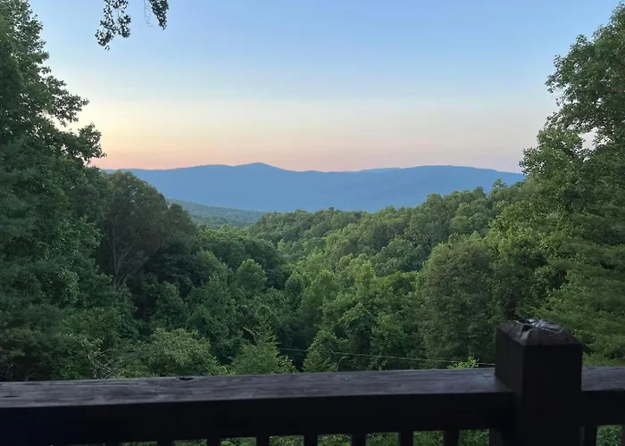 Hummingbird Haven