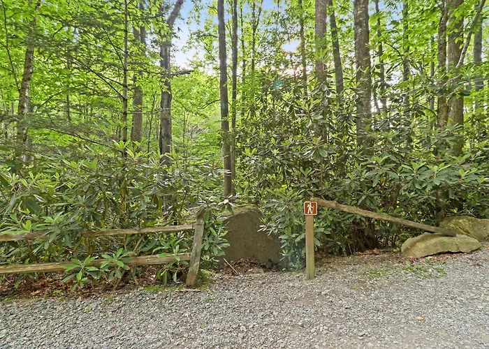 360 Locust Ridge Rd House By Carolina Stays