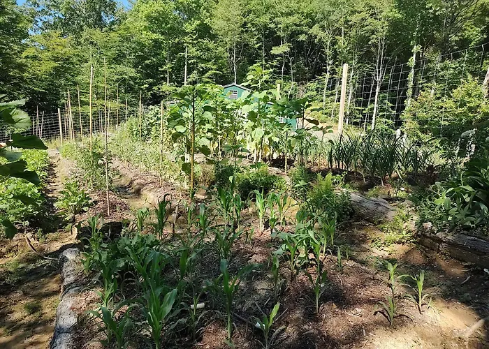 Healing Acres