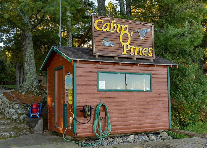 Cabin O' Pines - A Family Friendly Resort