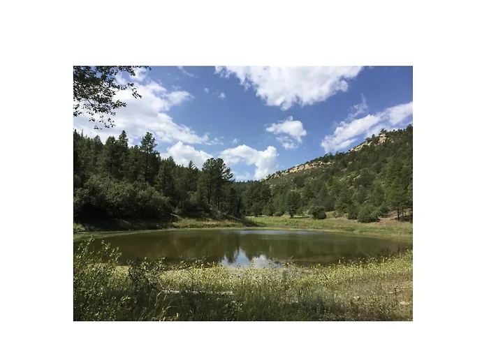 Valentine'S Northern New Mexico Mountain Ranch On Colorado Border Retreat